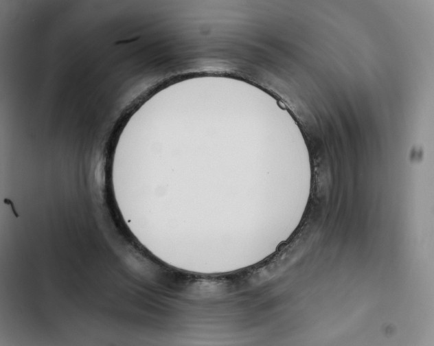 X0000102850350200809151133