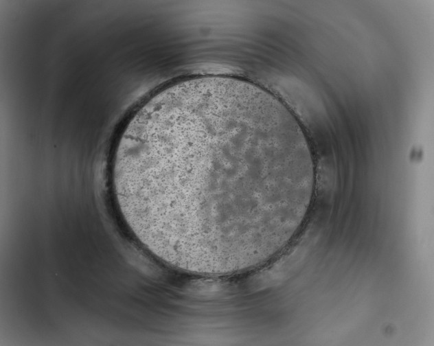 X0000102850351200809151133