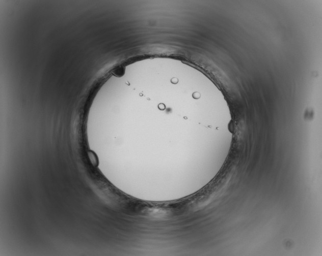 X0000102850352200809151133