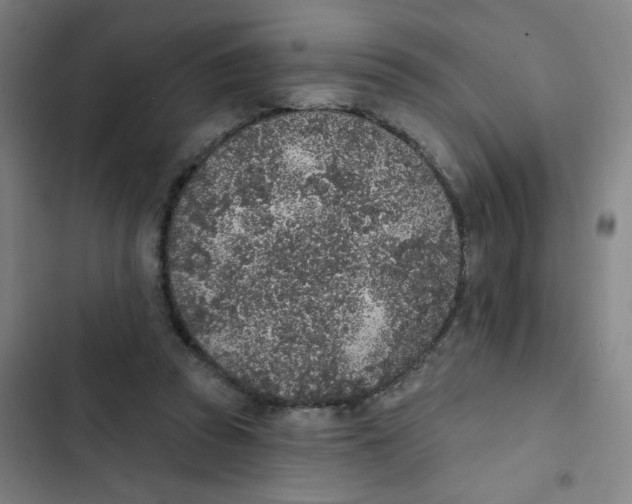 X0000102850353200809151133