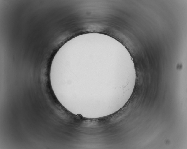 X0000102850354200809151133