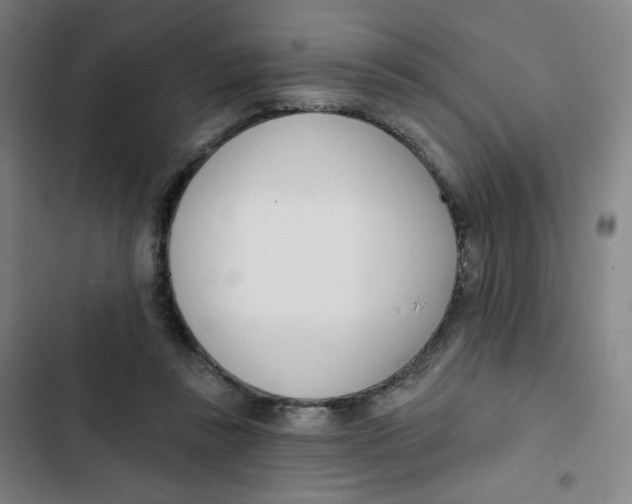 X0000102850355200809151133