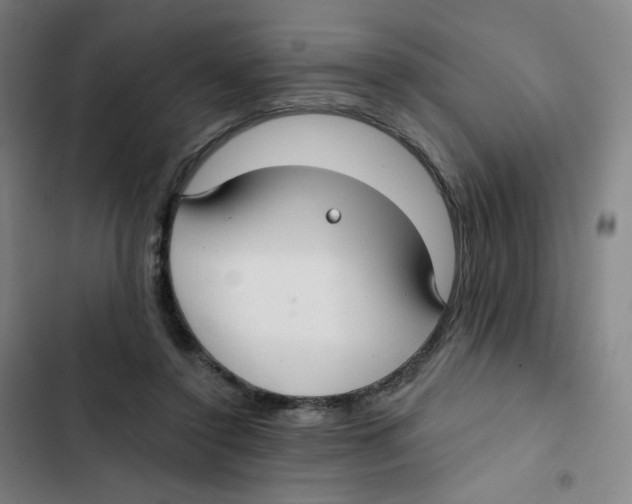 X0000102850356200809151133