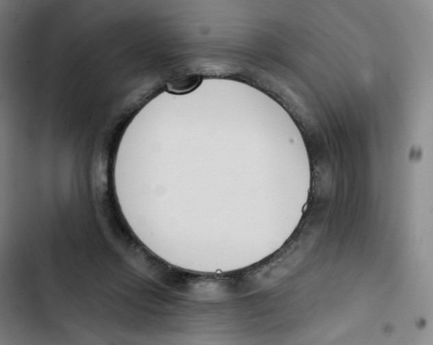 X0000102850358200809151133