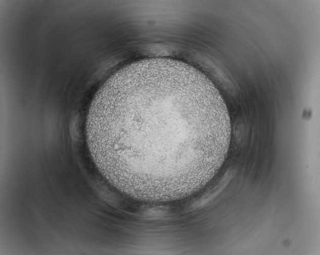 X0000102850359200809151133