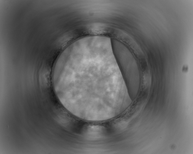 X0000102850360200809151133