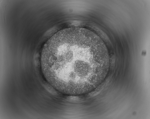 X0000102850361200809151133