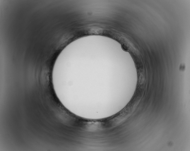 X0000102850363200809151133