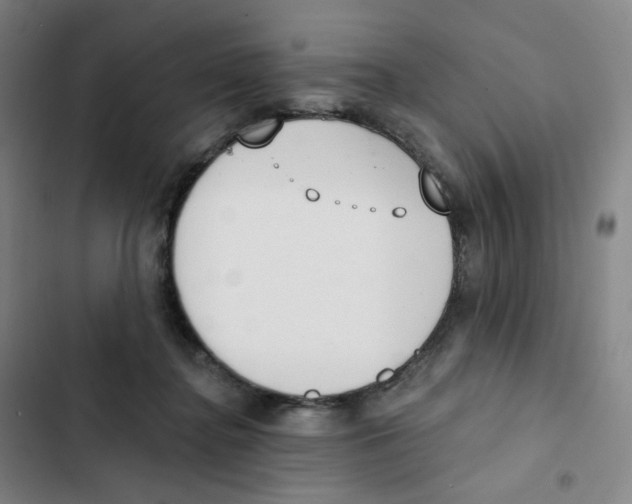 X0000102850364200809151133