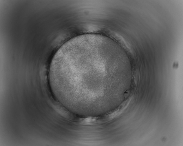 X0000102850366200809151133