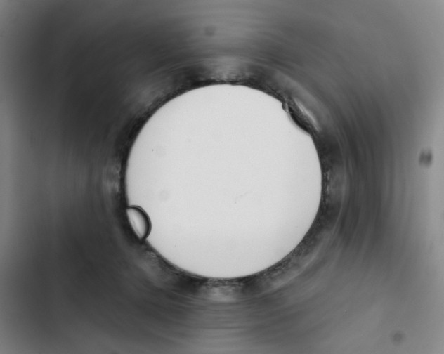 X0000102850368200809151133