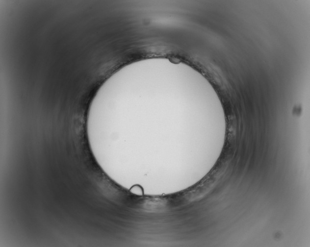 X0000102850369200809151133