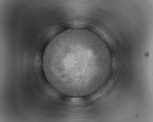 X0000102850371200809151133