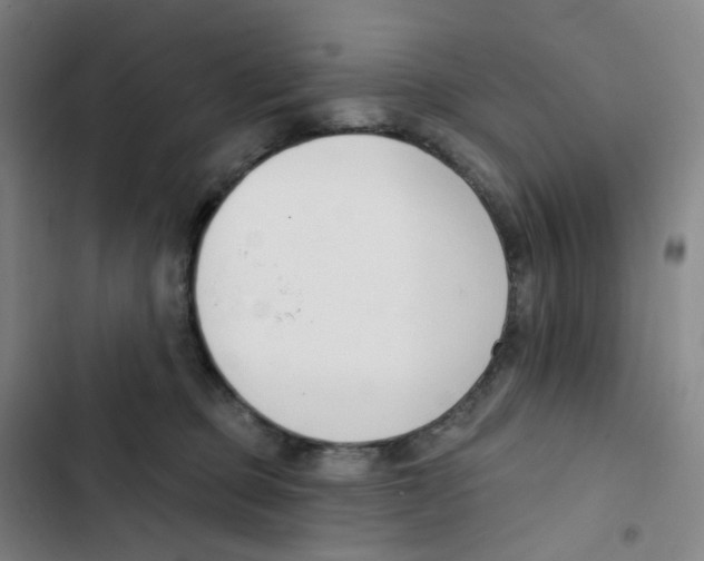 X0000102850373200809151133