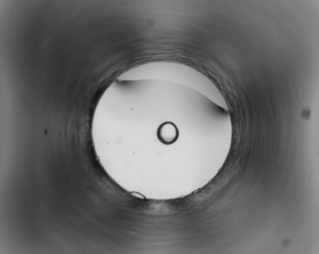 X0000102850376200809151133