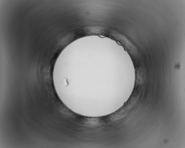 X0000102850377200809151133