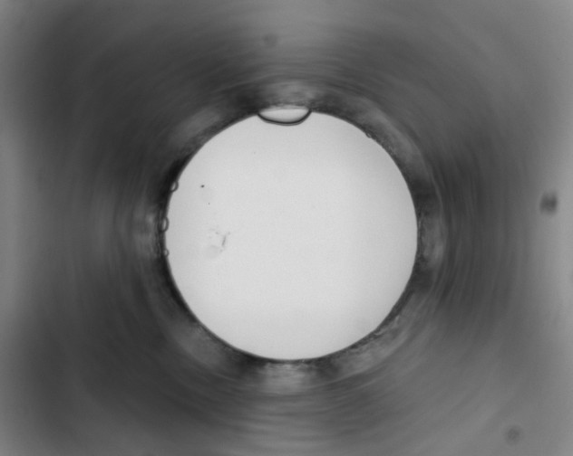 X0000102850378200809151133