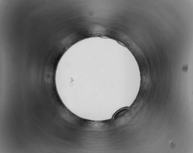 X0000102850379200809151133