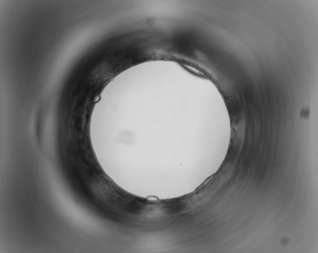 X0000102850381200809151133