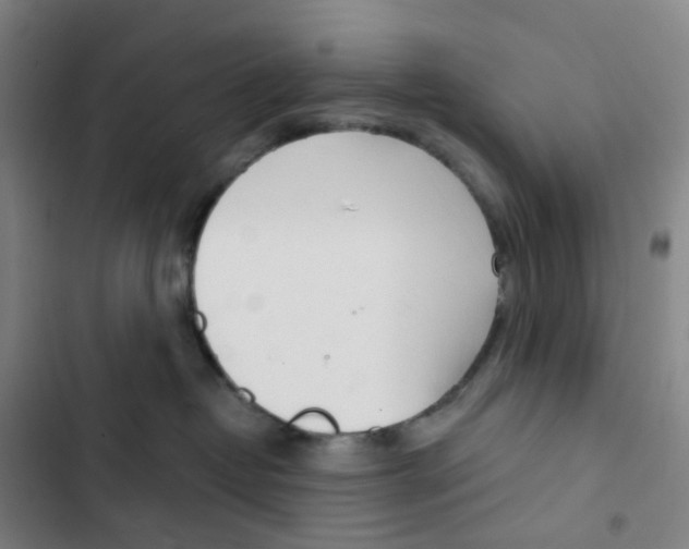 X0000102850382200809151133