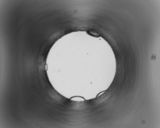 X0000102850384200809151133