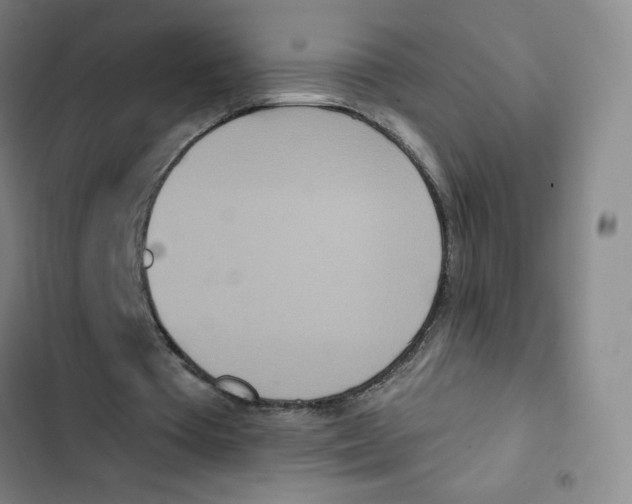 X0000102850385200809151132