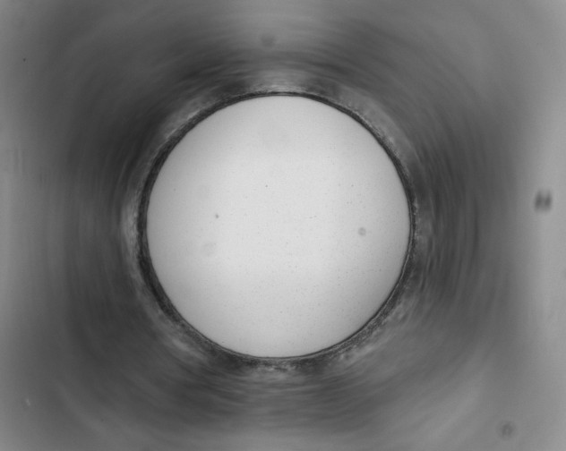 X0000102850386200809151132