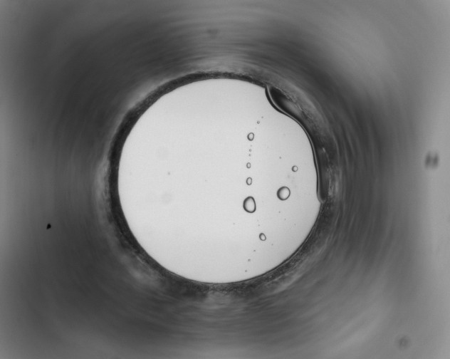 X0000102850388200809151132