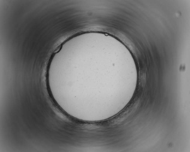 X0000102850389200809151132