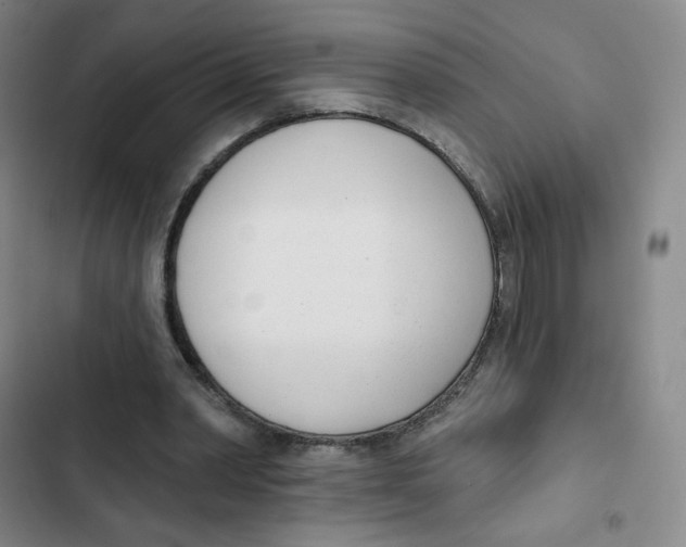 X0000102850390200809151132