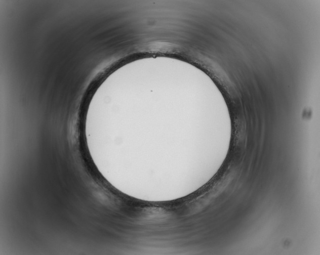 X0000102850392200809151132