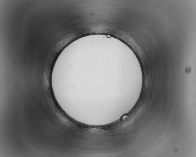 X0000102850393200809151132