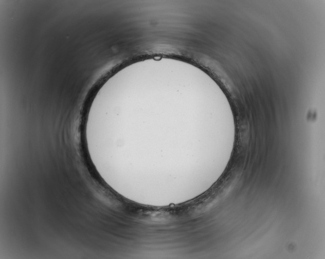 X0000102850395200809151132