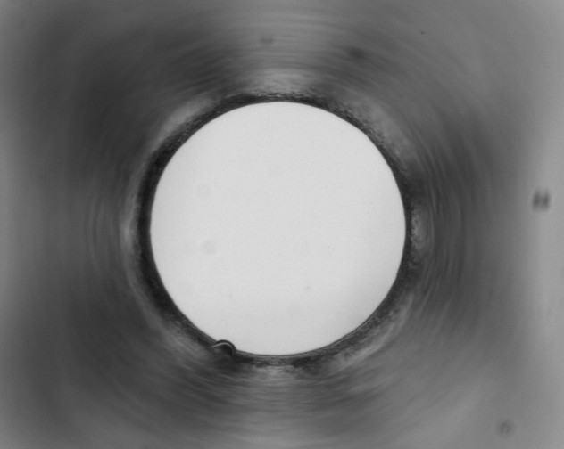 X0000102850396200809151132