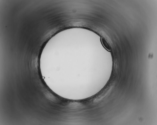 X0000102850397200809151132