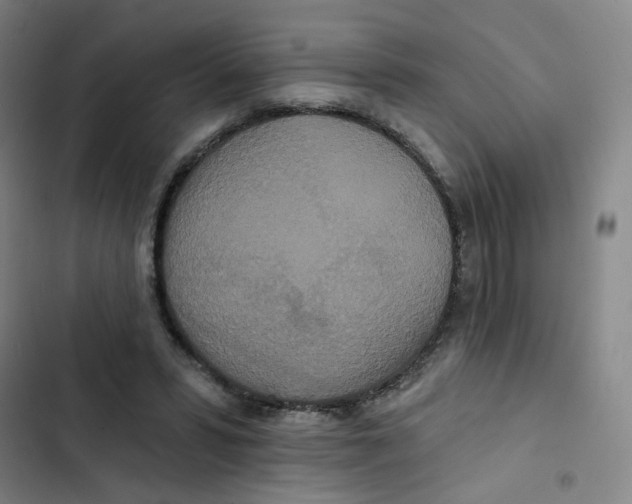 X0000102850399200809151132