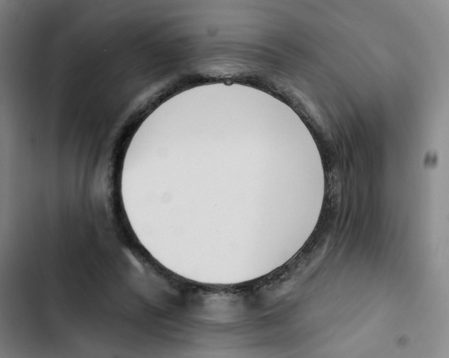 X0000102850400200809151132