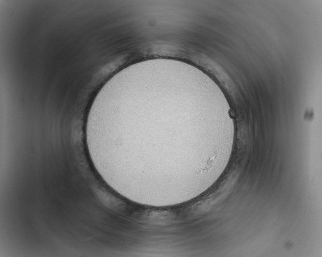 X0000102850401200809151132