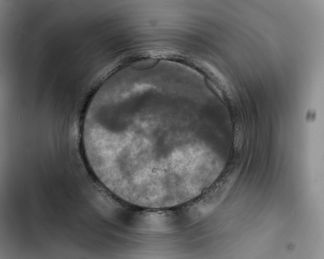 X0000102850405200809151132