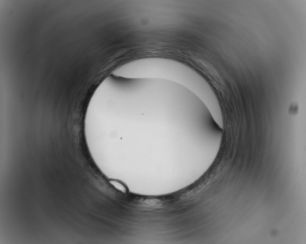 X0000102850409200809151132