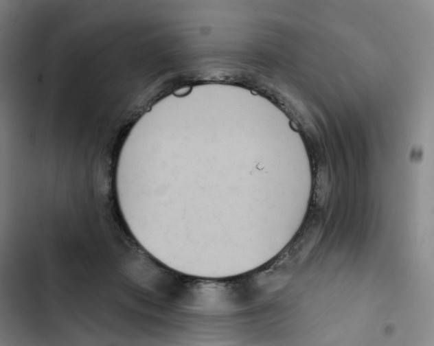 X0000102850413200809151132