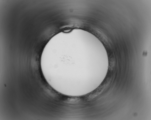 X0000102850414200809151132