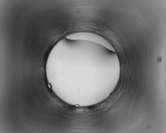 X0000102850415200809151132