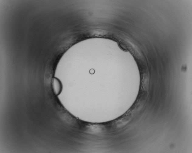 X0000102850417200809151132