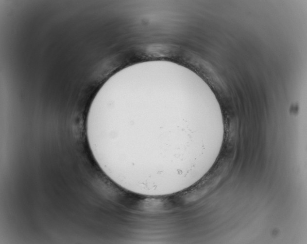 X0000102850418200809151132