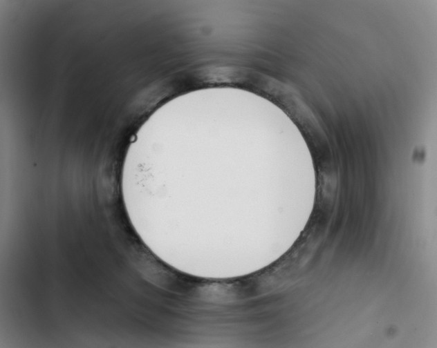 X0000102850422200809151132