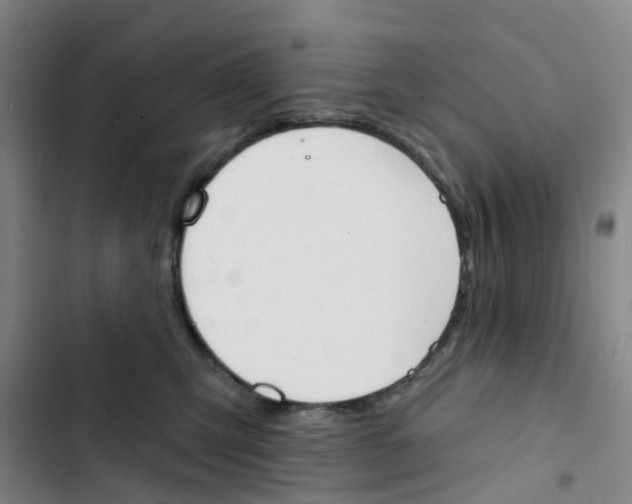 X0000102850423200809151132