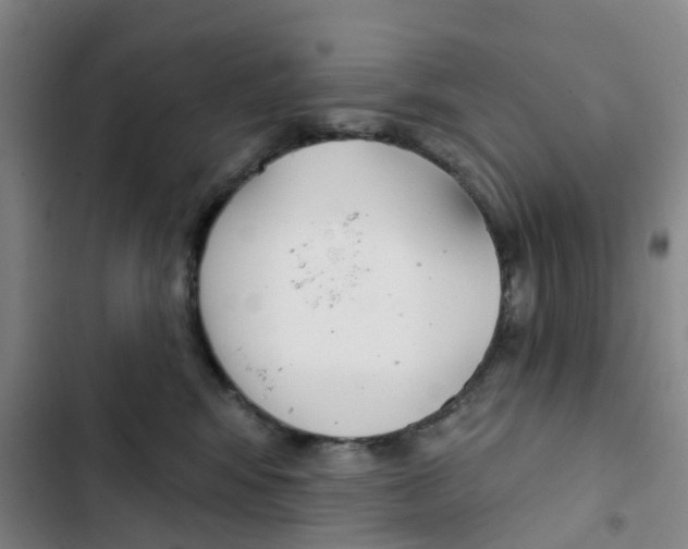 X0000102850424200809151132