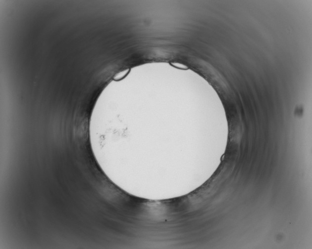 X0000102850425200809151132