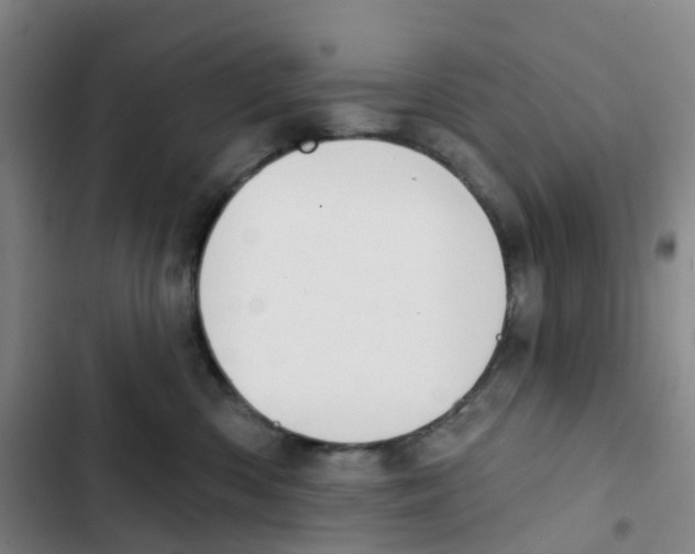 X0000102850426200809151132